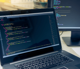 servicio Desarrollo web